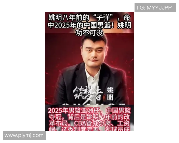 姚明宣布放弃职业生涯的背后故事与未来发展方向探讨