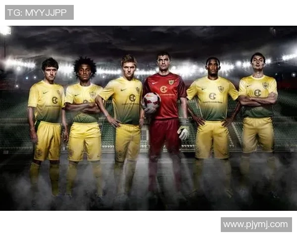 全球足球明星风采与生平简介全景展示