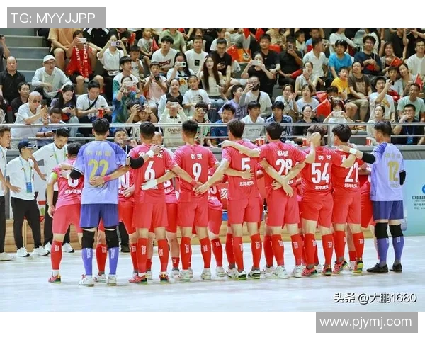 探索与113相关的足球明星背后的故事与成就